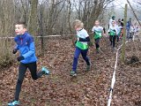 2017-02-12 Cross DJA - 080